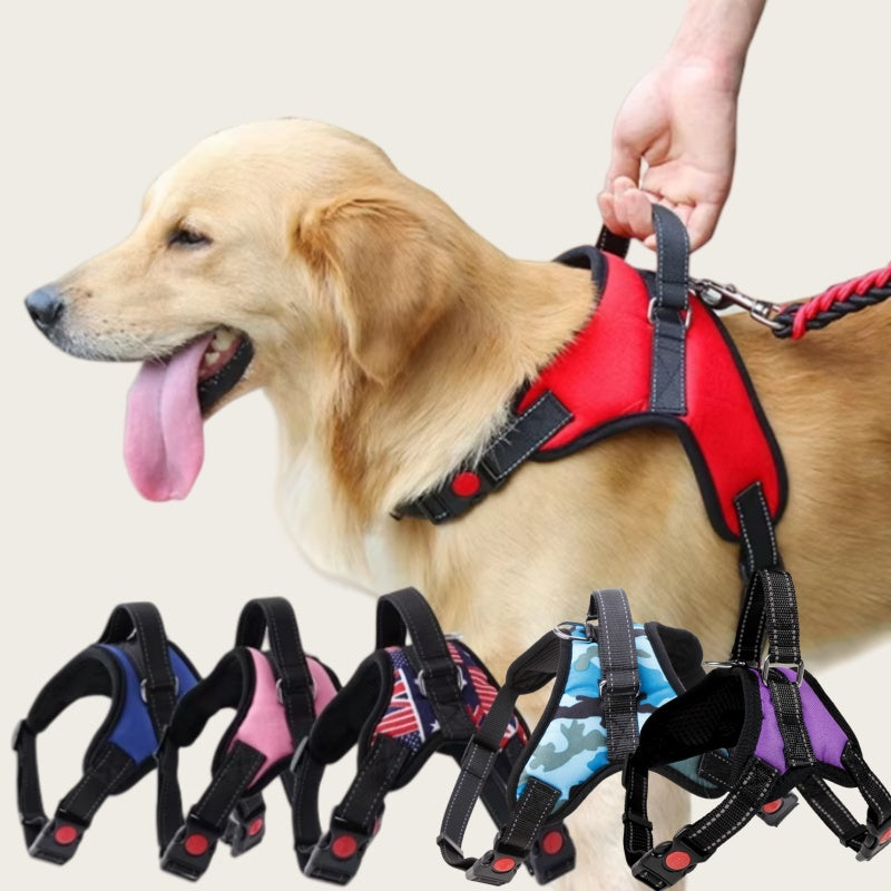 Pets