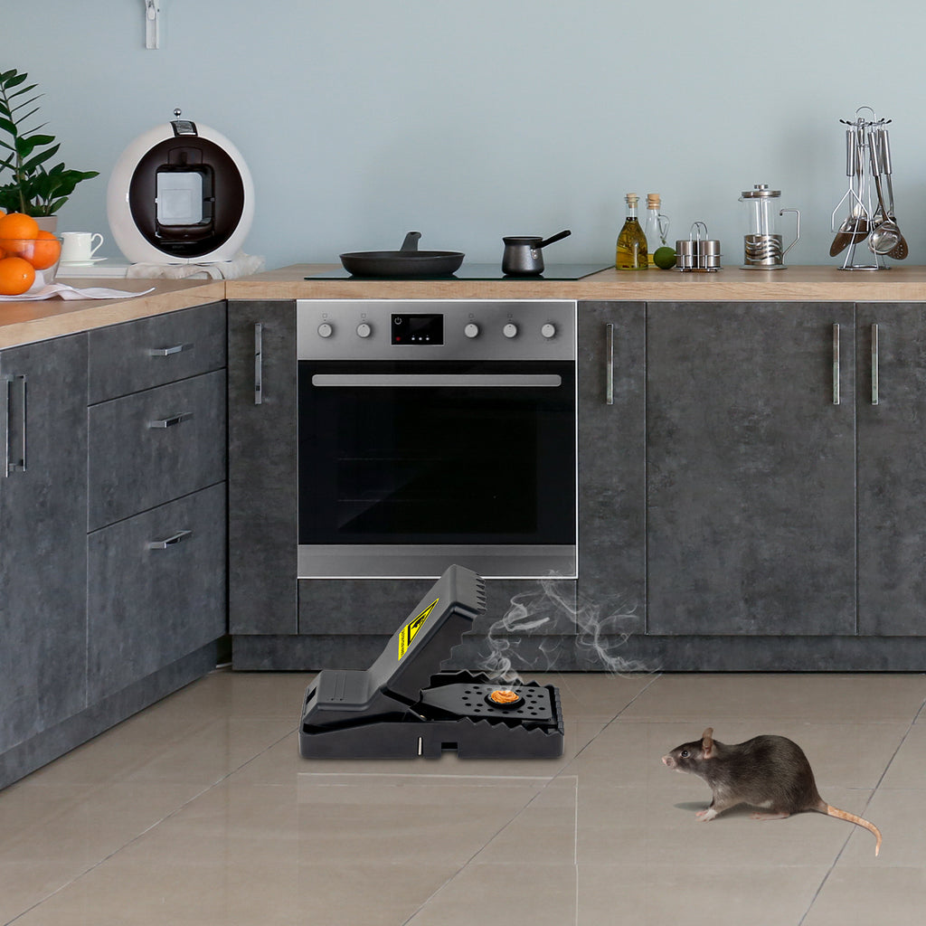 Reusable Mouse Traps (6piece)