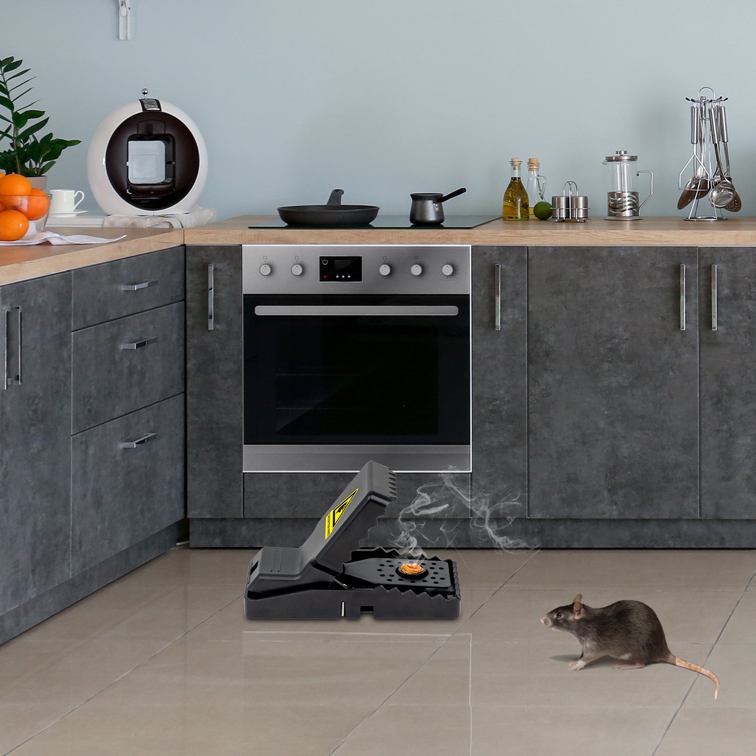 Reusable Mouse Traps (6piece)
