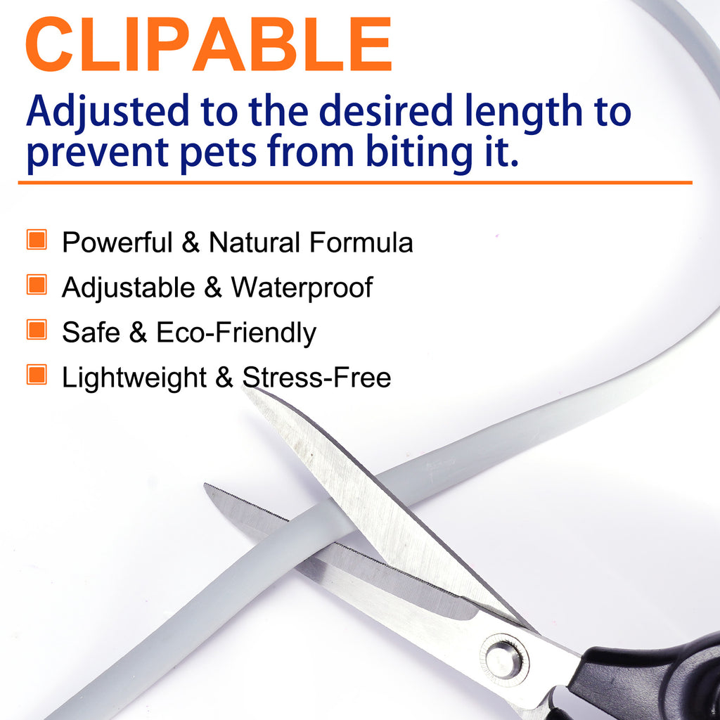 Anti Flea and Tick Collar