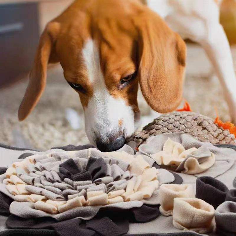 Dog Snuffle Mat