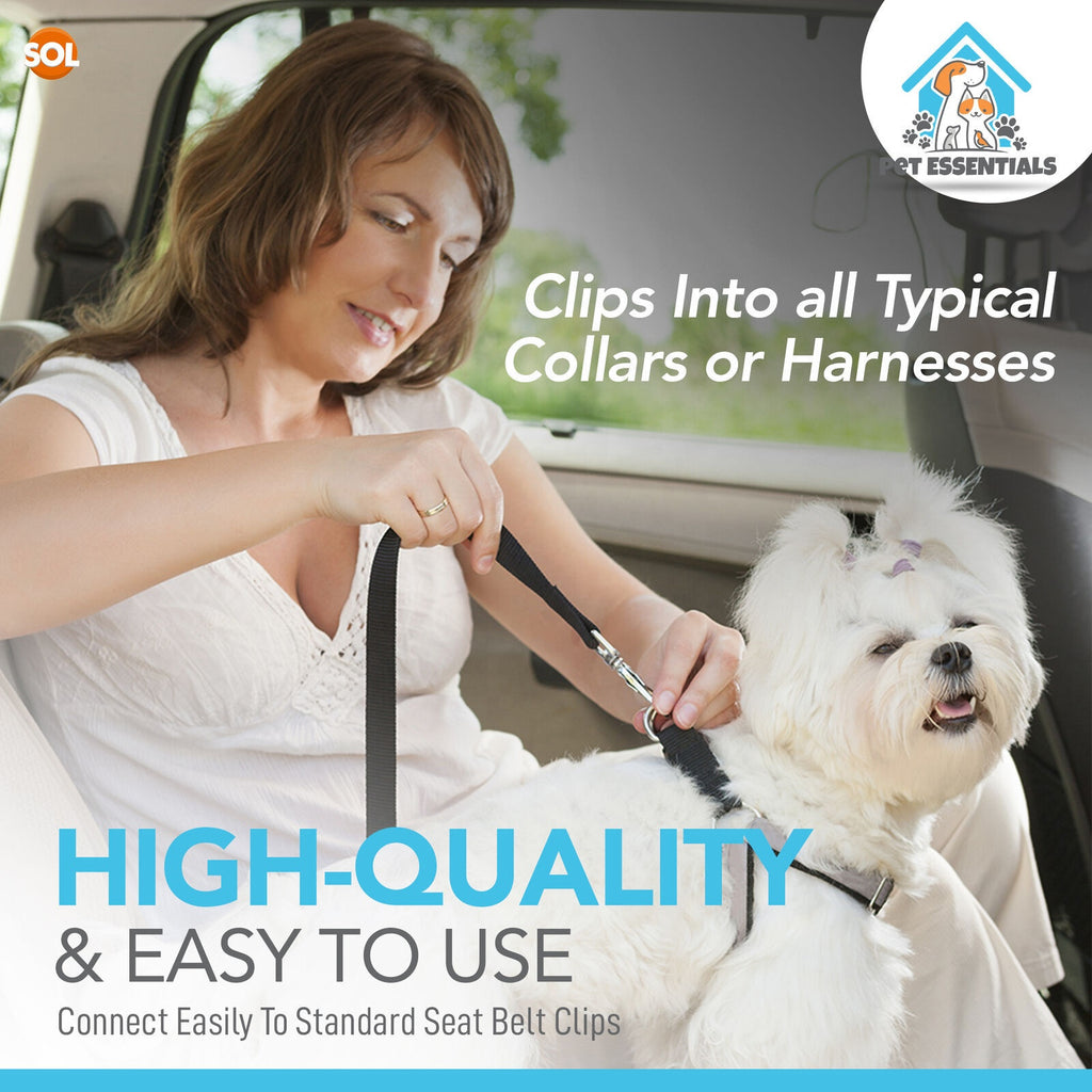 Dog Car Seat Belt