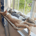 Cat Window Hammock