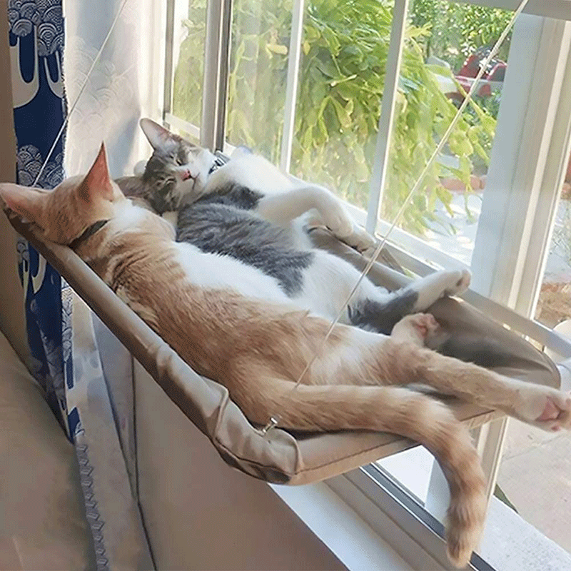 Cat Window Hammock