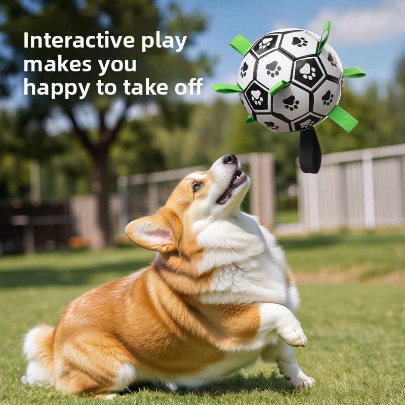 Dog Training Soccer Ball