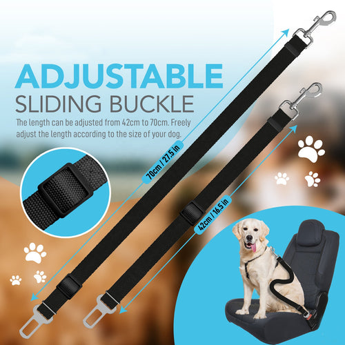 Dog Car Seat Belt