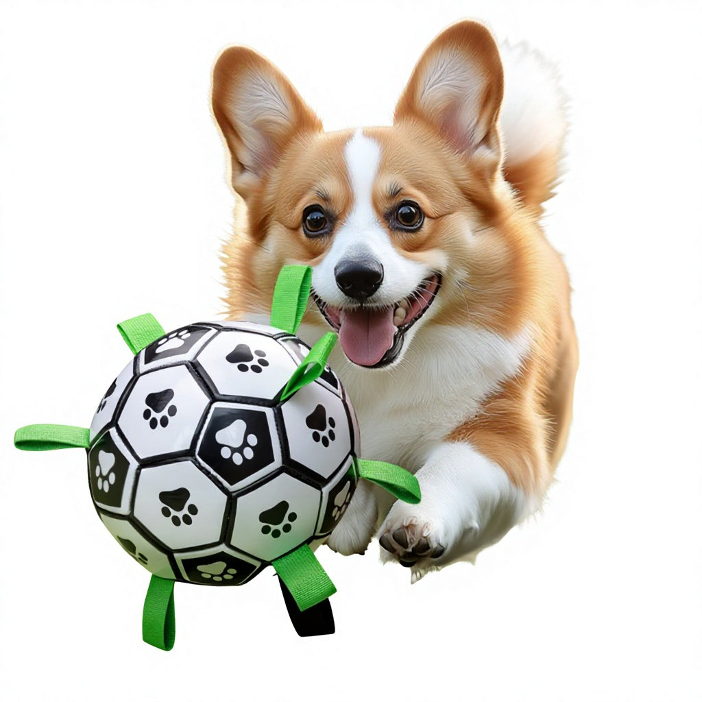 Dog Training Soccer Ball