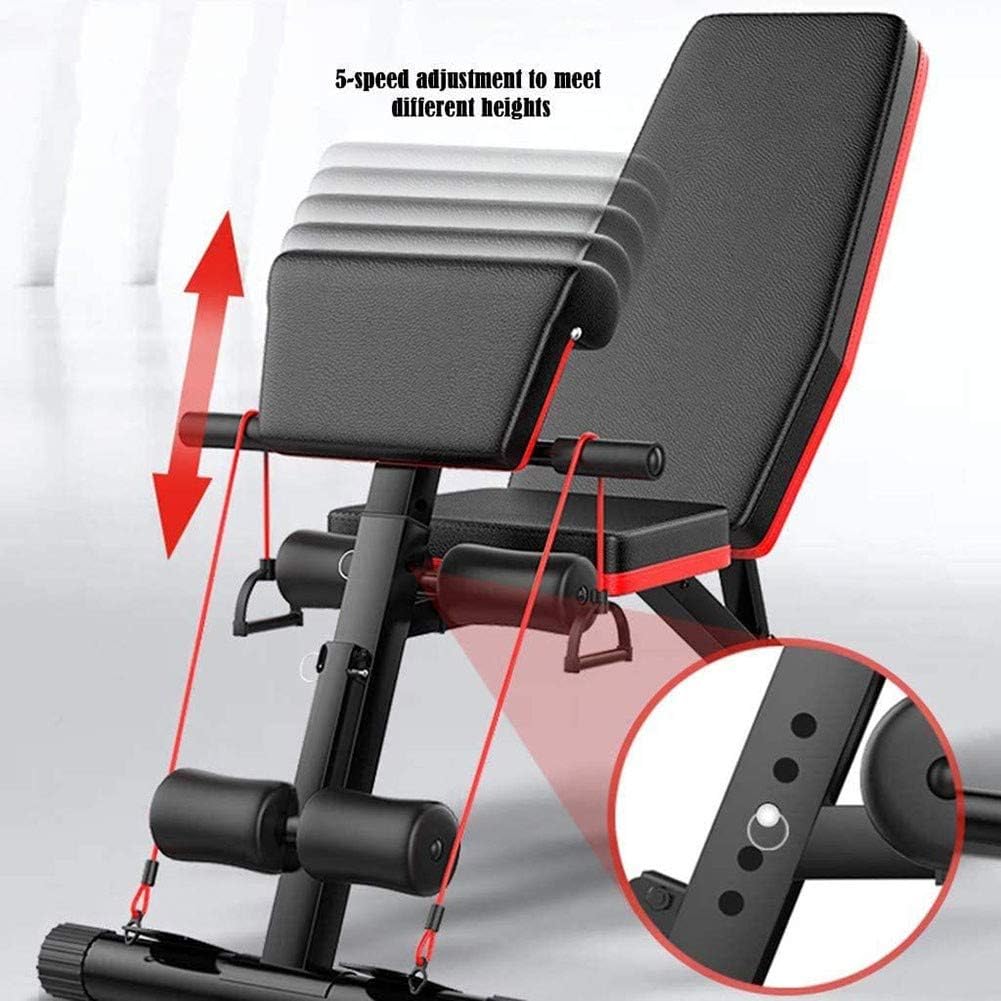 Dumbbell Bench