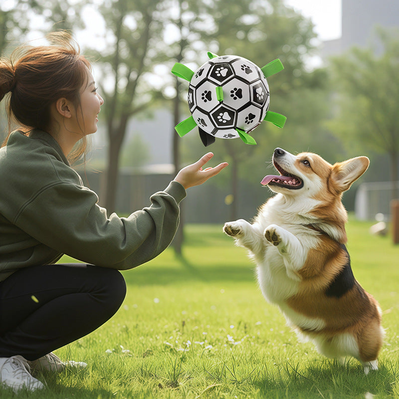Dog Training Soccer Ball