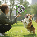 Dog Training Soccer Ball