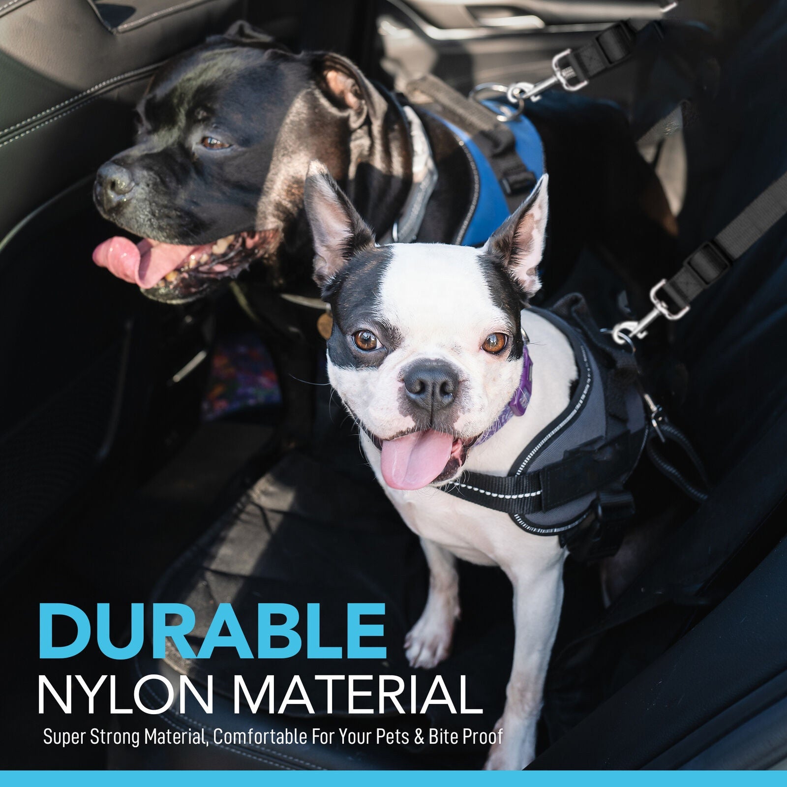 Dog Car Seat Belt