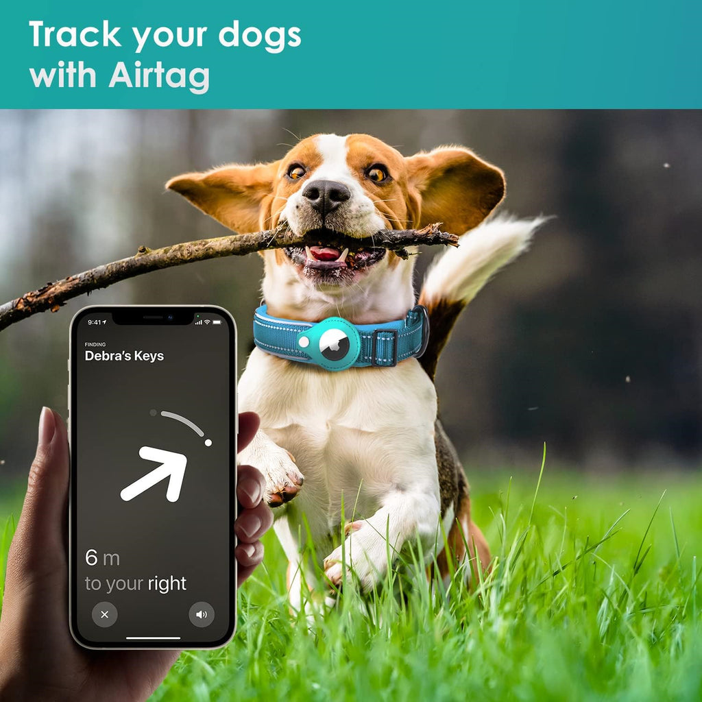 Reflective Adjustable Pet Collalr