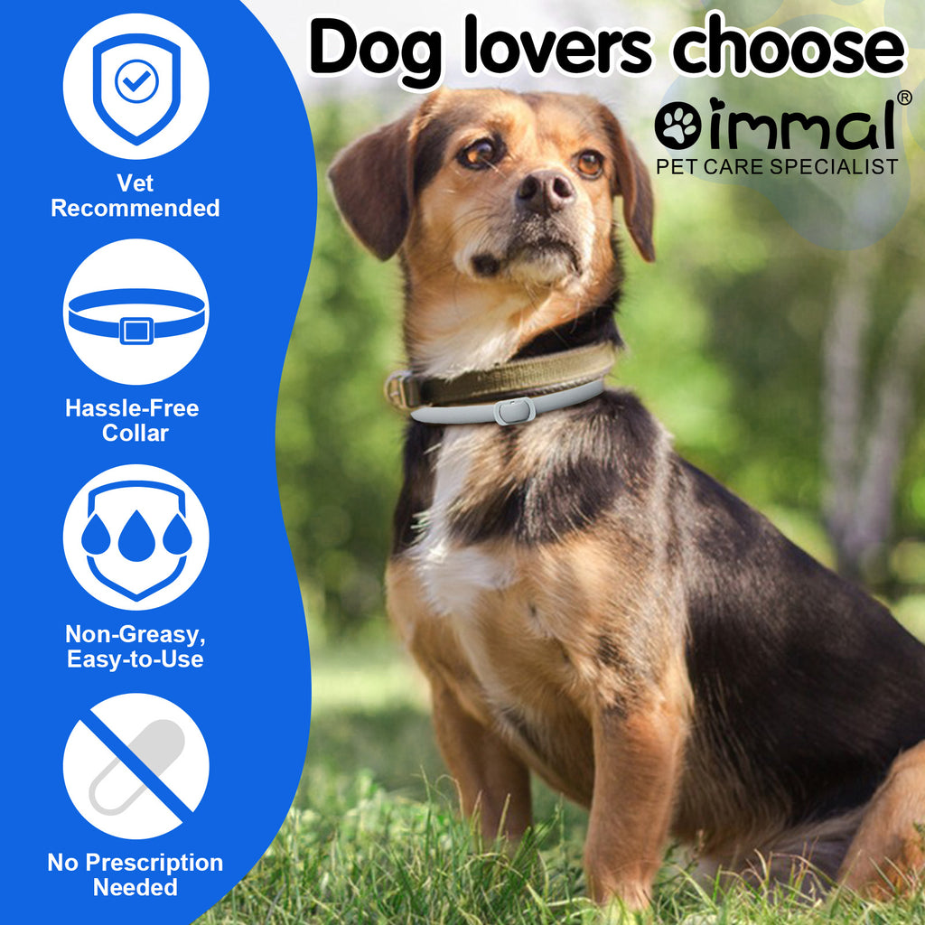 Anti Flea and Tick Collar