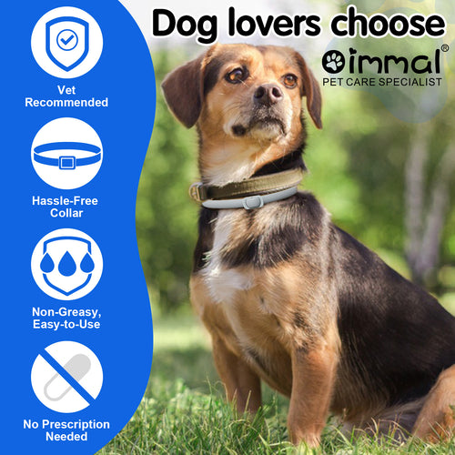 Anti Flea and Tick Collar
