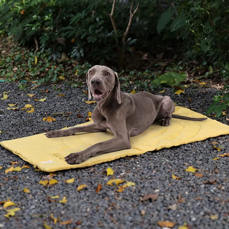 Portable Pet Mat