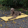 Portable Pet Mat