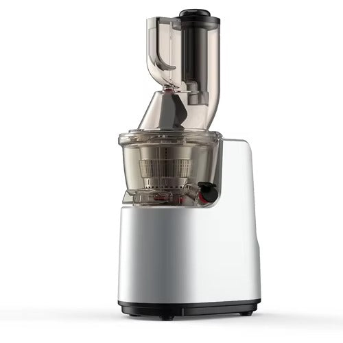 Slow Juicer