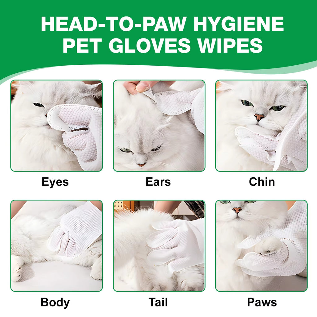 Pet Glove Wipes