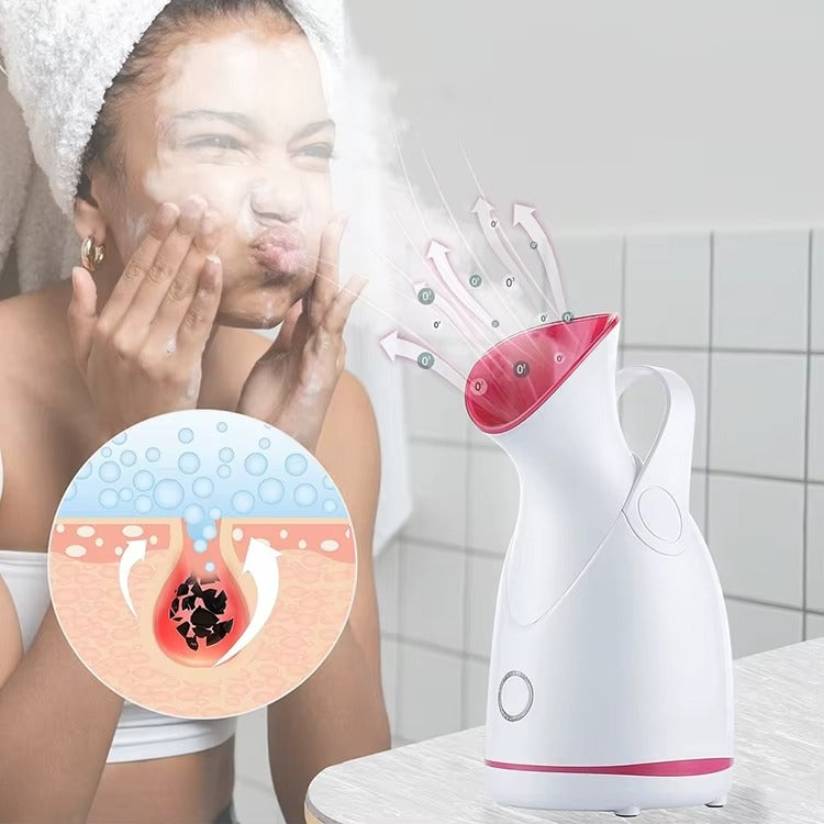Facial Steamer