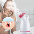 Facial Steamer