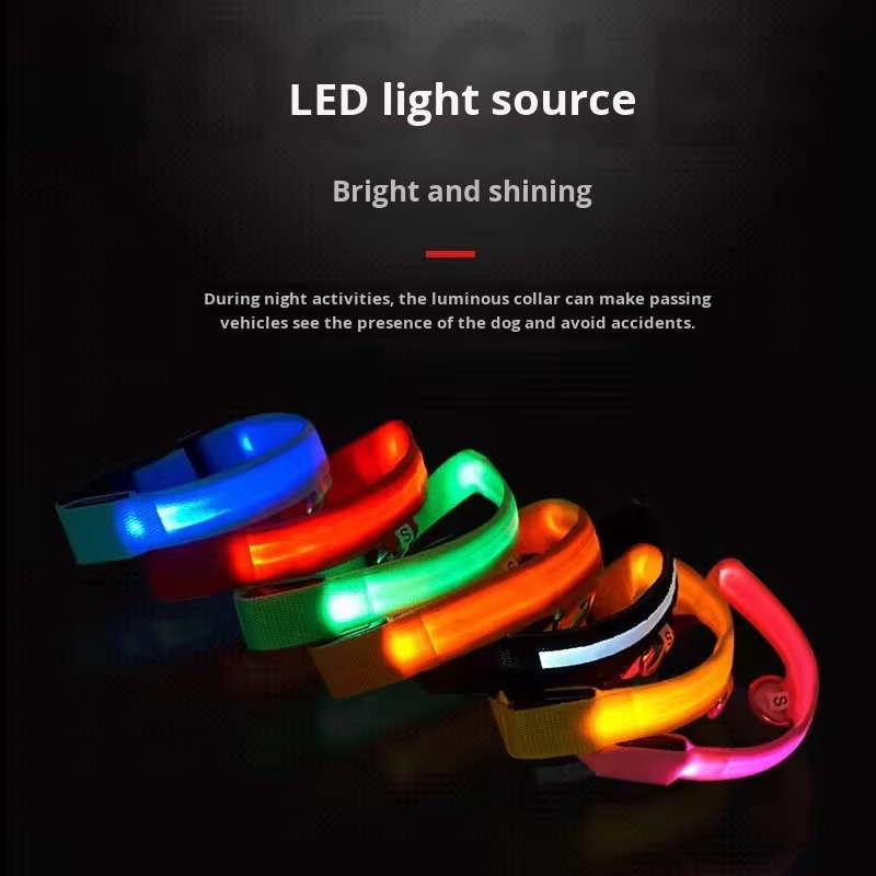 Electronic Pet LED Dog Collar