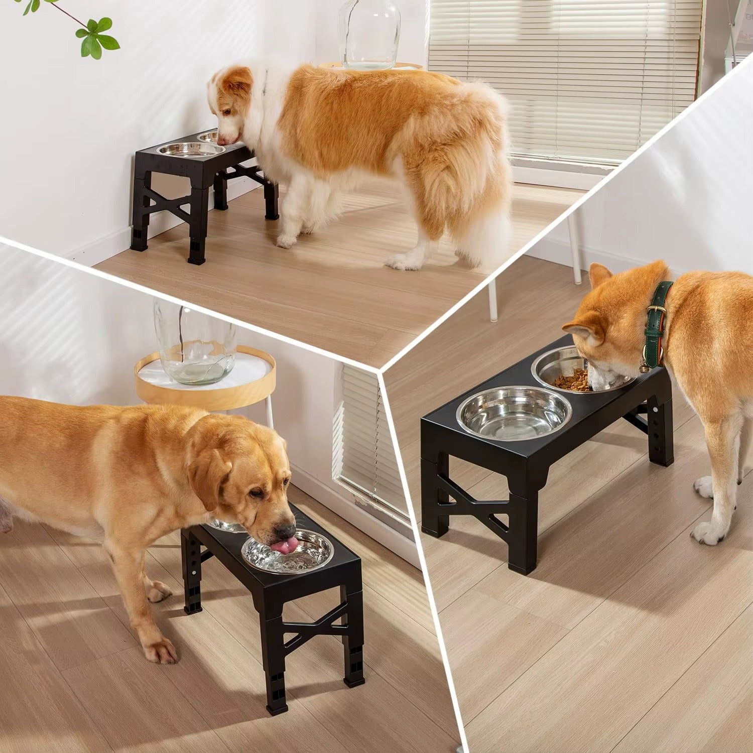Elevated Pet Feeding Stand