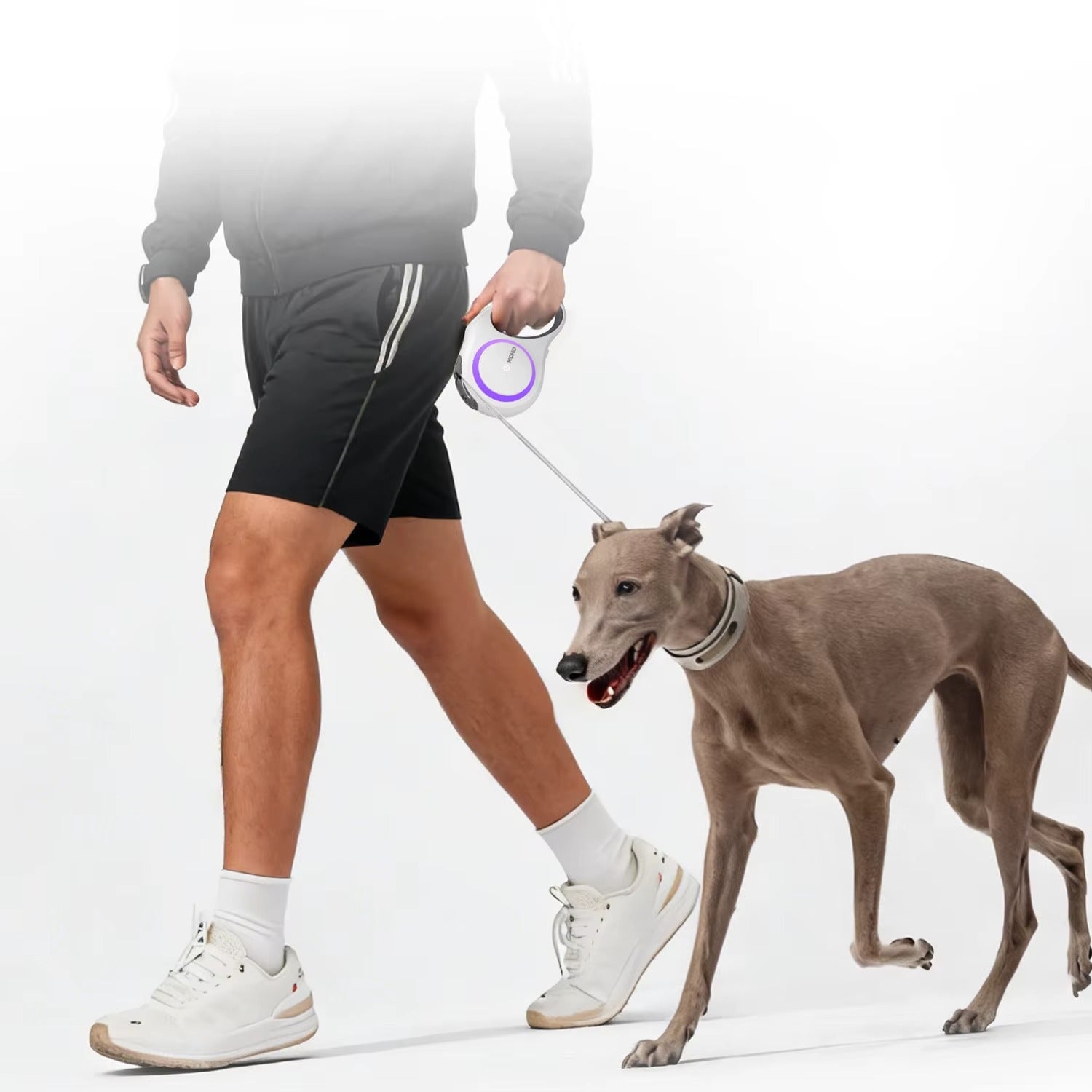Pet Dog Leash