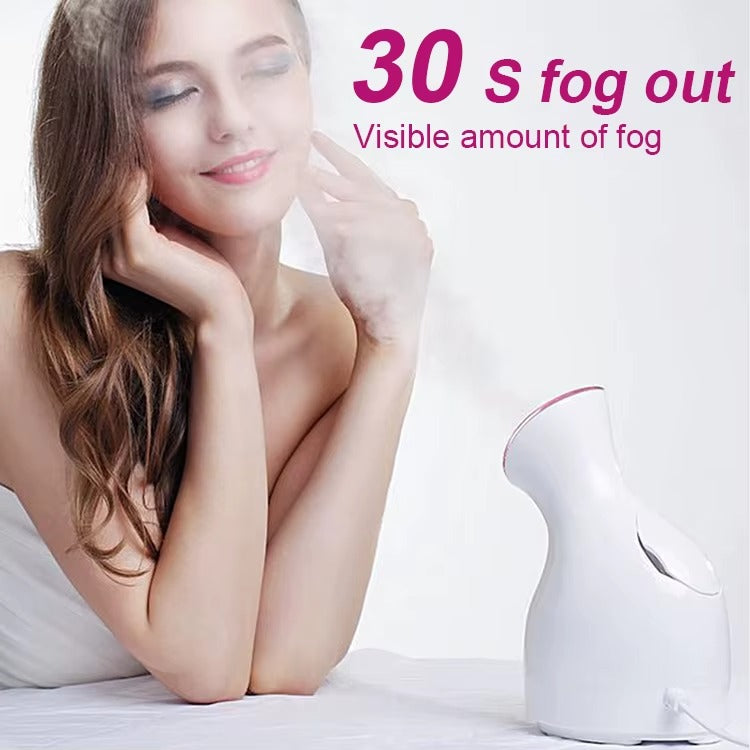 Facial Steamer