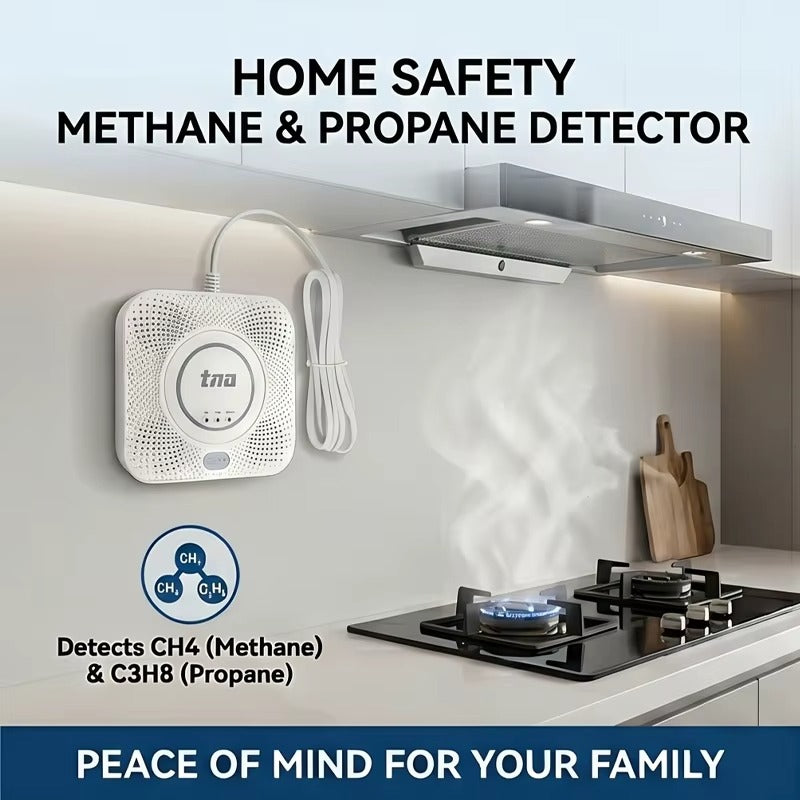 Combustible Gas Detector